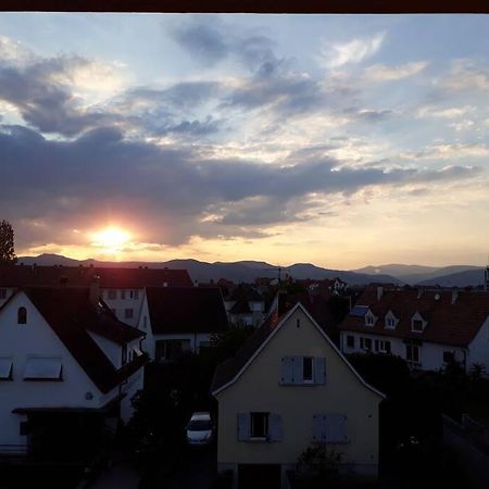 Logement Ideal Pour Un Sejour Alsacien En Amoureux Кольмар Екстер'єр фото