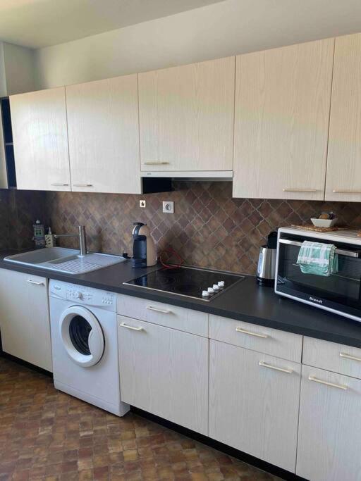 Logement Ideal Pour Un Sejour Alsacien En Amoureux Кольмар Екстер'єр фото
